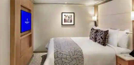 Camarote Interior ms Rotterdam