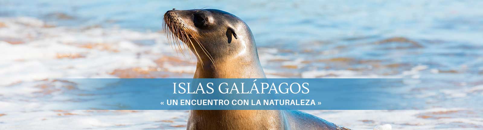 Destino Islas Galápagos