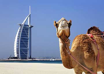 Puerto Dubai (EAU)