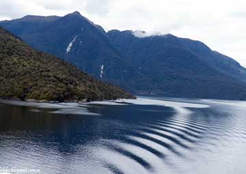 Puerto Fiordo Dusky Sound (Nueva Zelanda)