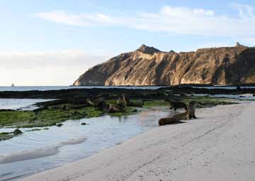 Puerto Cerro Brujo (San Cristobal)