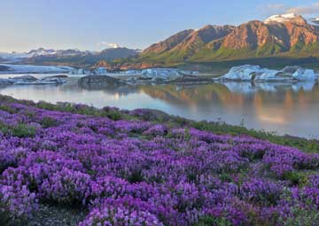 Puerto Wrangell (Alaska)