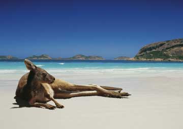 Puerto Isla Kangaroo (Australia)