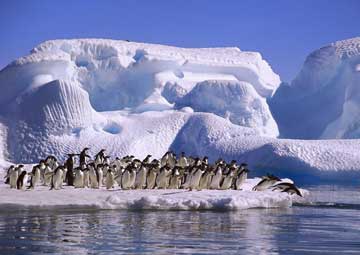 Puerto Experiencia Antártica