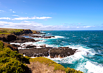 Puerto Phillip Island