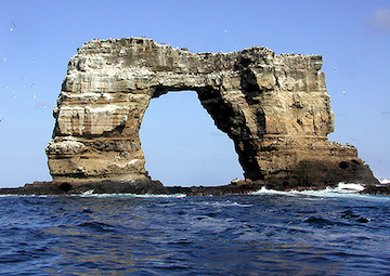 Puerto Darwin Bay Genovesa