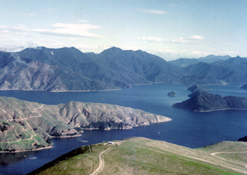 Puerto Marlborough sounds (Nueva Zelanda)