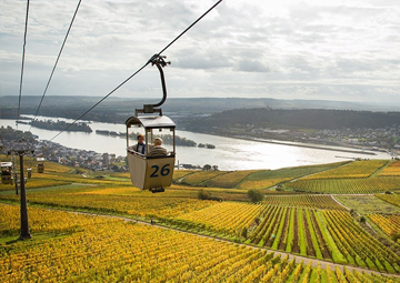 Puerto Rüdesheim - Rhine Gorge