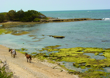 Puerto Puerto Plata (Rep. Dominicana)